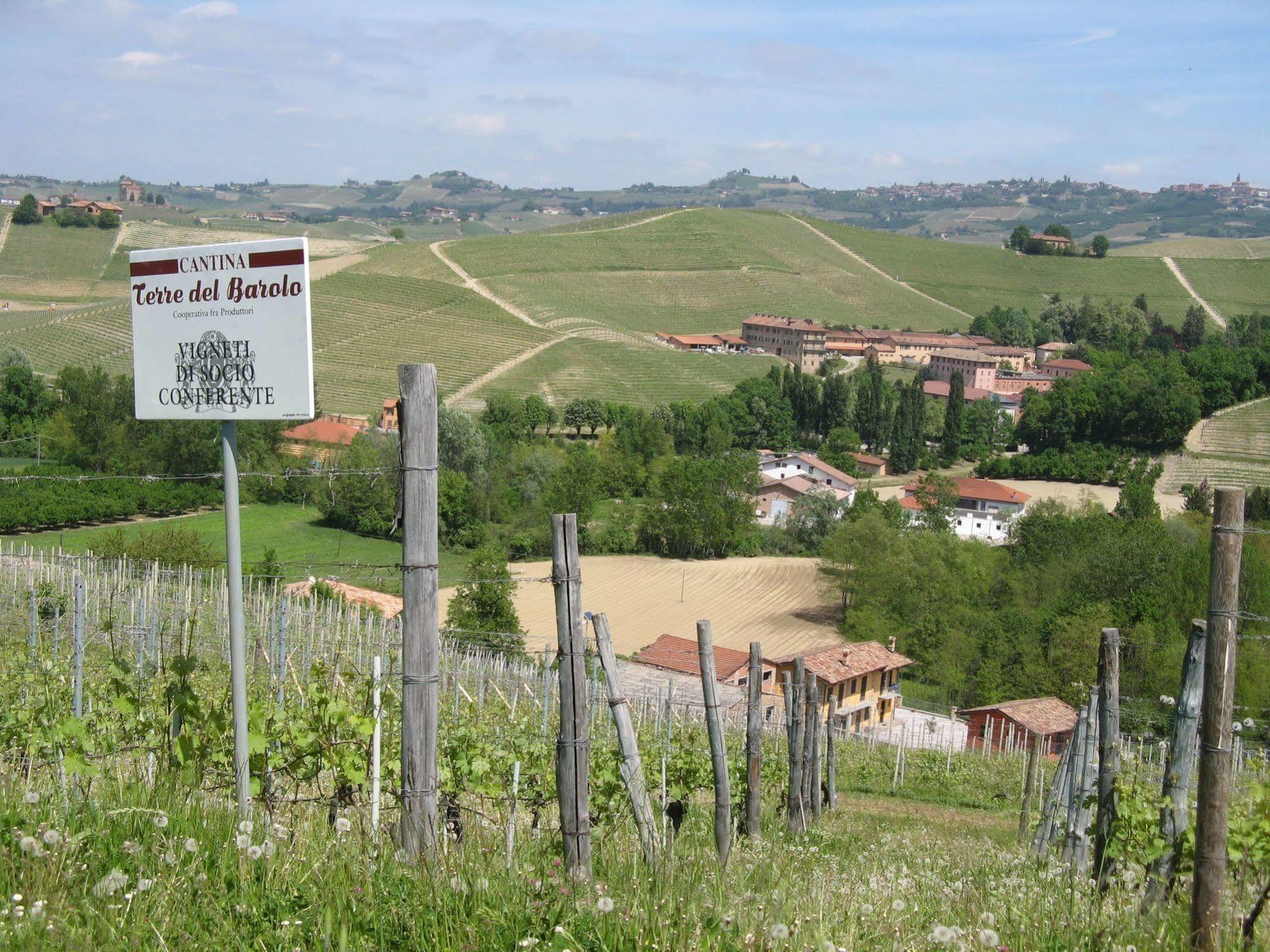 Residenza Albatros Villa Castiglione Falletto Esterno foto