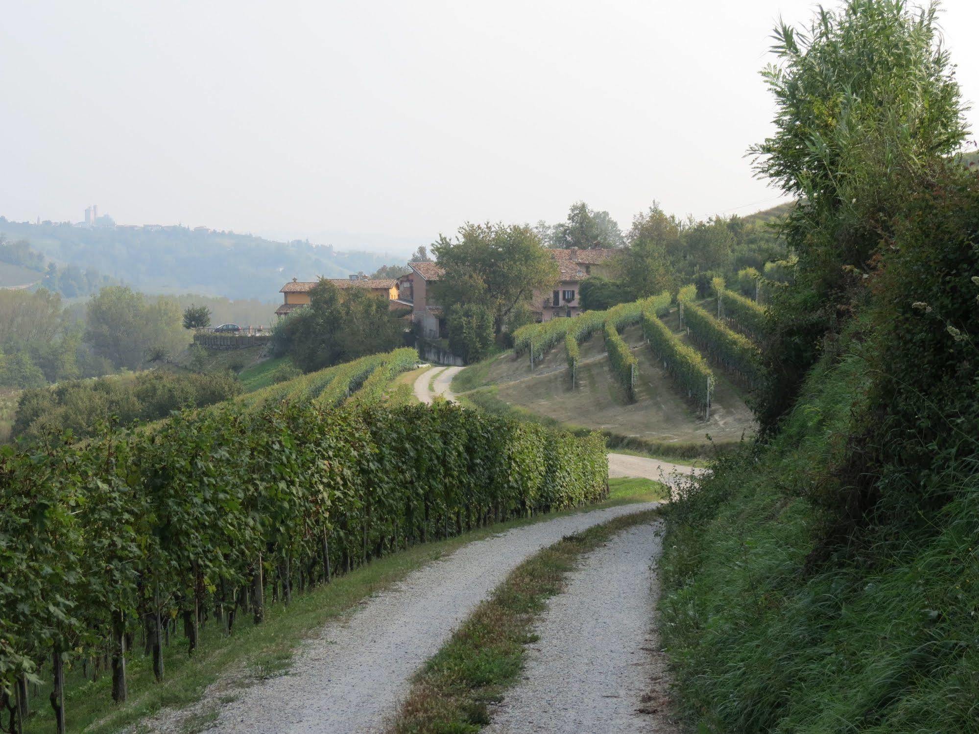 Residenza Albatros Villa Castiglione Falletto Esterno foto